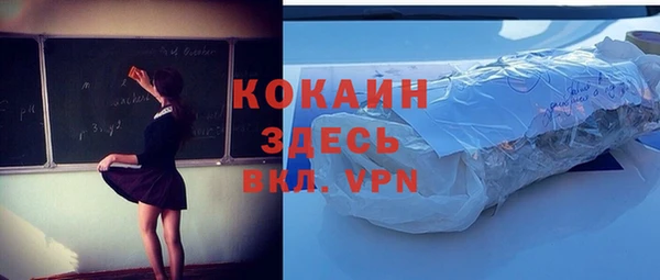 соль ск Белокуриха