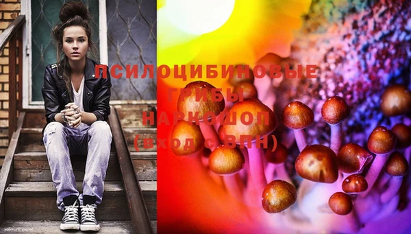 прущая мука Богданович