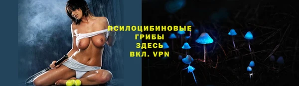 мдма Богородицк