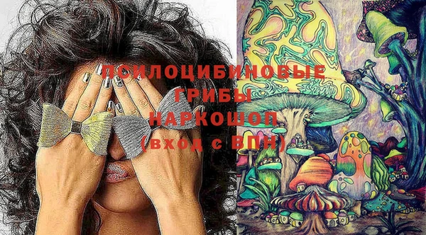 мдма Богородицк